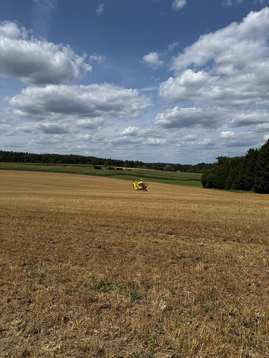 Person bei Waldarbeitern unter Baum — Bild 2 von 4