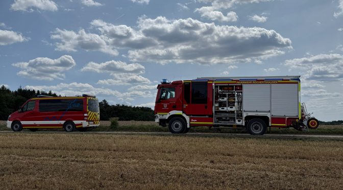 Person bei Waldarbeitern unter Baum